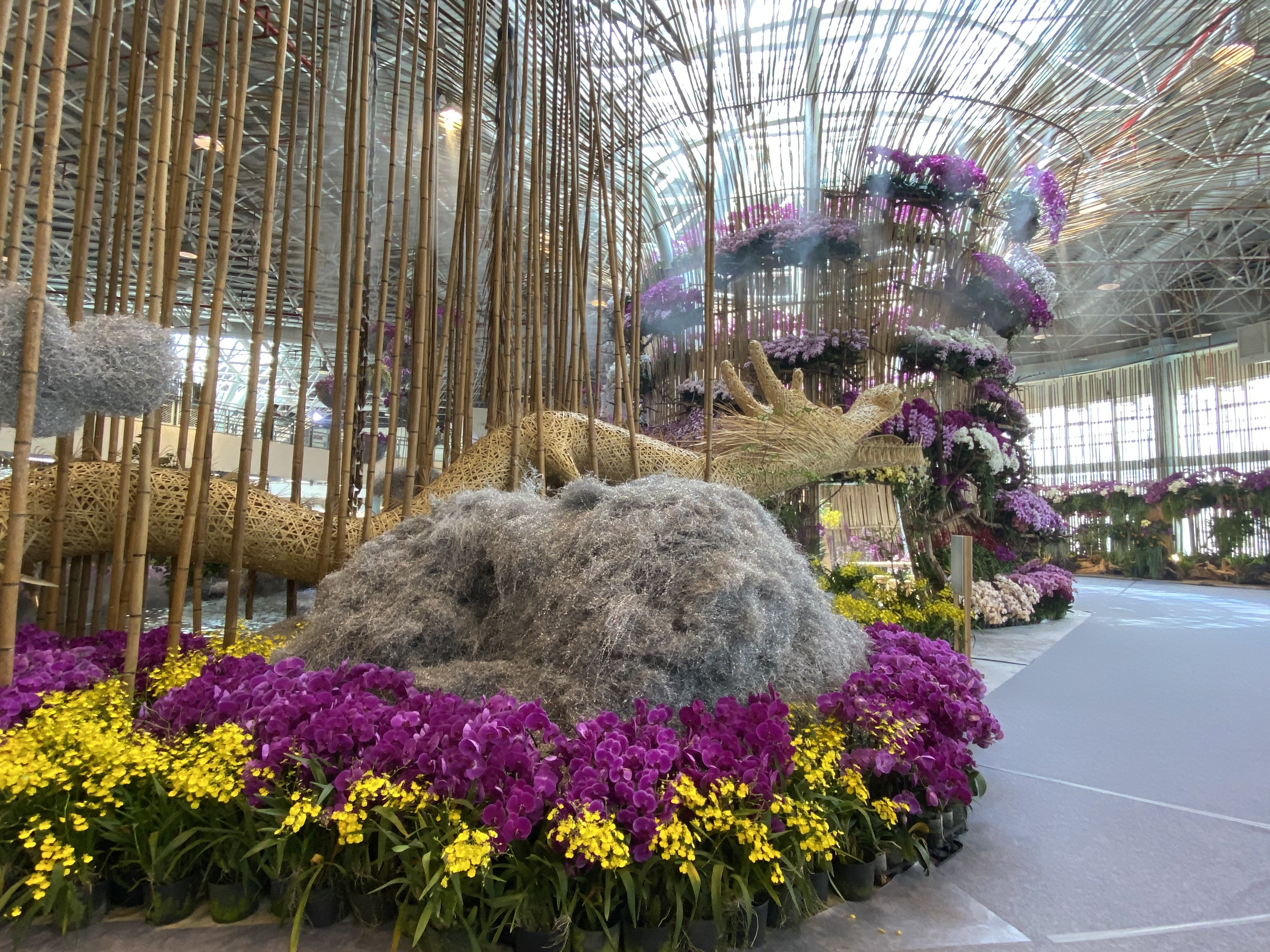 突破空間限制台中世界蘭展4/24雲端綻放兩個月| 王秀禾| 地方新聞- 風傳媒