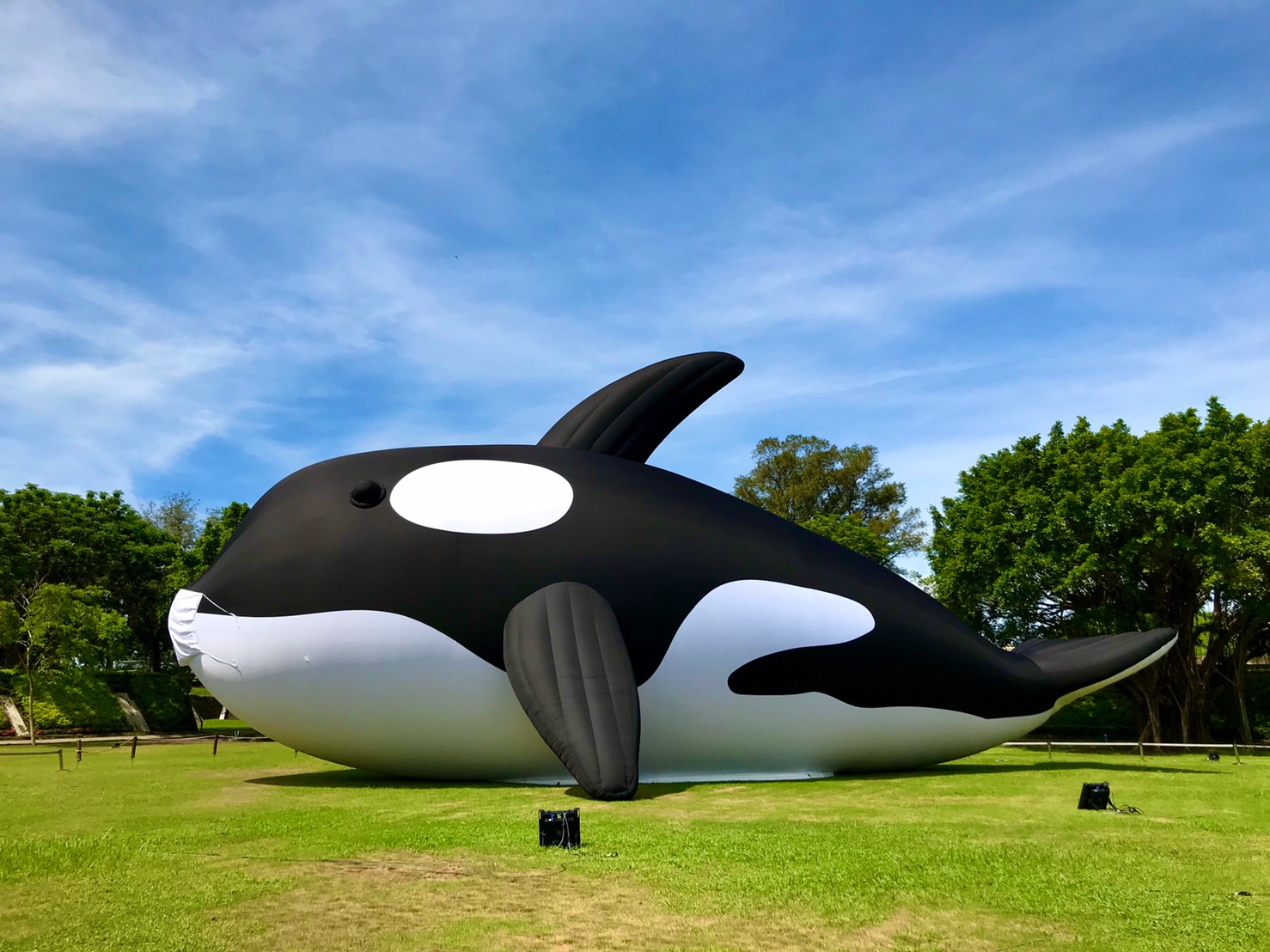 威士忌圈最神秘的「IB酒」該從何下手？先選這三間保證不踩雷| Howard Yu | 風生活- 風傳媒