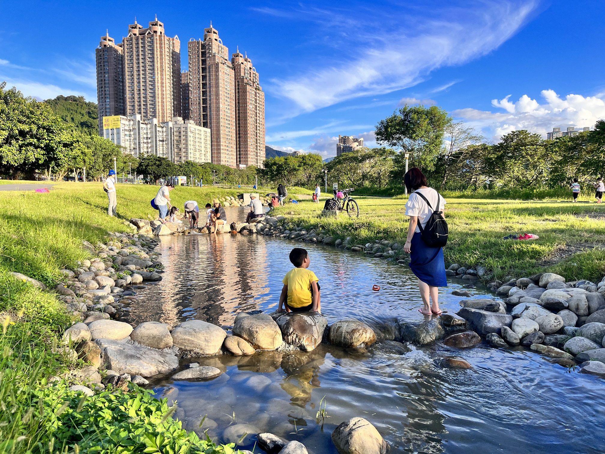 可愛魚兒游阿游！新店碧潭堰啟用打通中斷半世紀生態廊道揭開新篇章